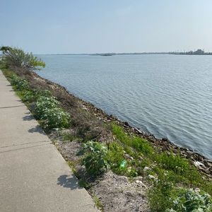 Meet your Posher, Praise